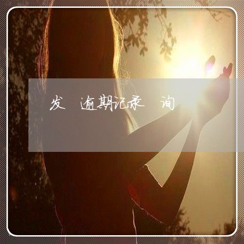 发 逾期记录 询